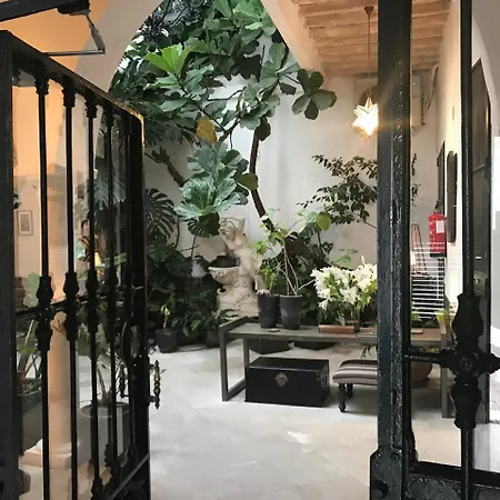 Riad Lolita Tarifa Maison d'hôtes *